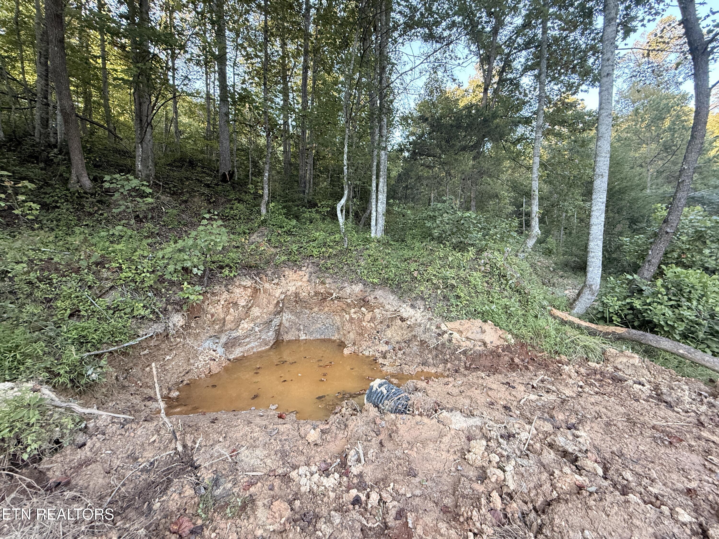 1055 Big 4 Road La Follette, TN 37766 - Photo 23 of 24 Spring