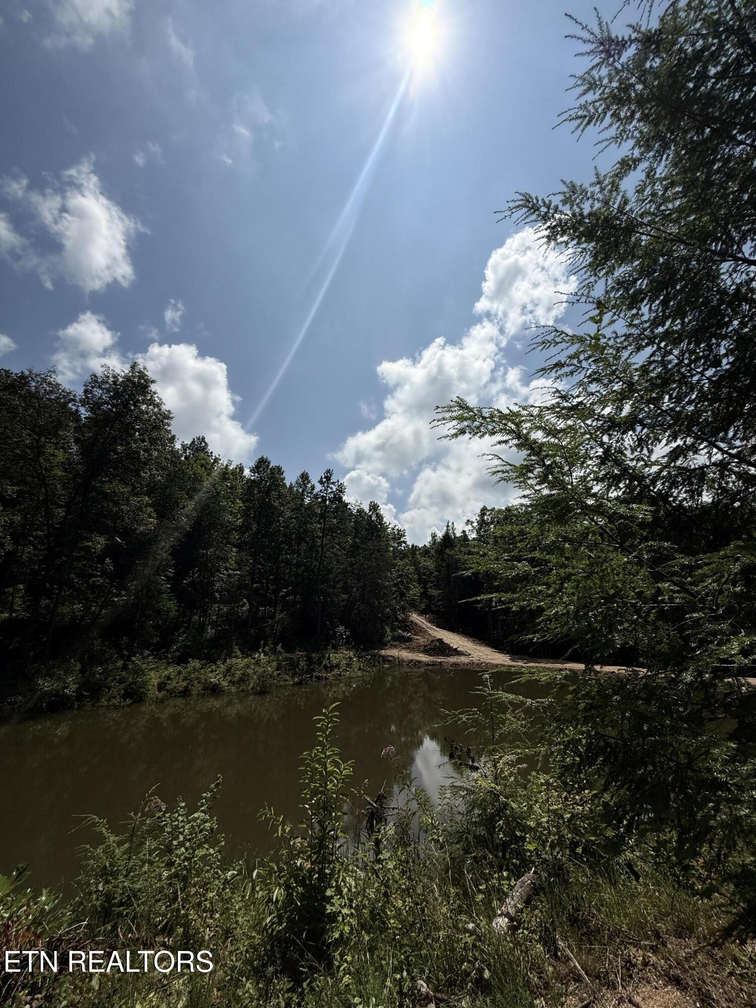 1055 Big 4 Road La Follette, TN 37766 - Photo 3 of 24 Pond View from back side