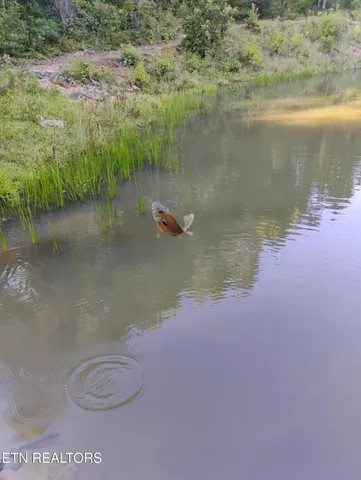 $178,000 | 1055 Big 4 Road, La Follette, TN 37766