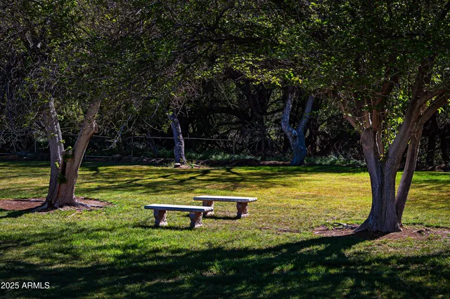 a view of a swimming pool with a yard
