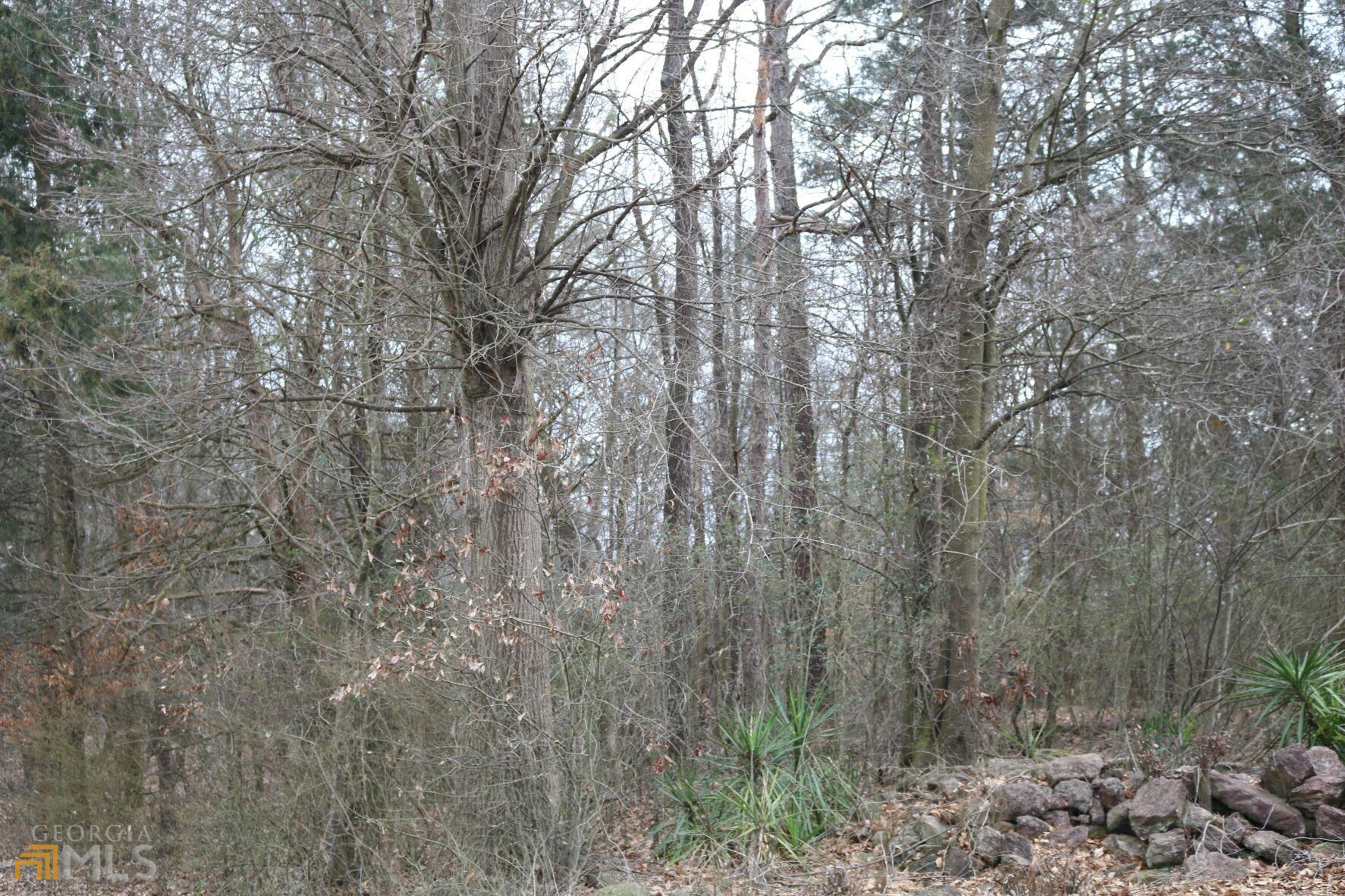 0 Duffell Martin Road Comer, GA 30629 - Photo 1 of 1 a view of forest