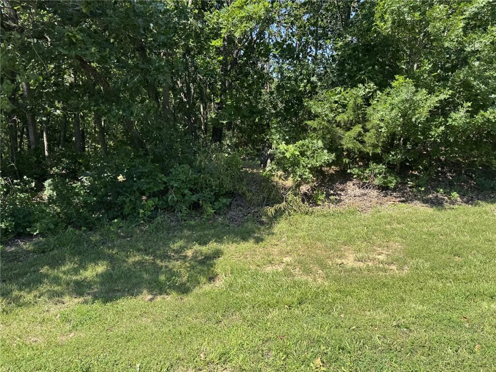Lot 66 Southeast 591st Road Warrensburg, MO 64093 - Photo 4 of 11