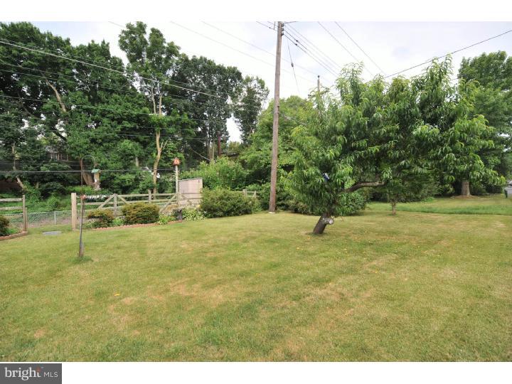 631 Wanamaker Road Jenkintown, PA 19046 - Photo 23 of 25 Back Yard