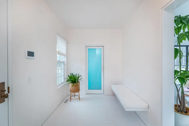 an entryway with a potted plant