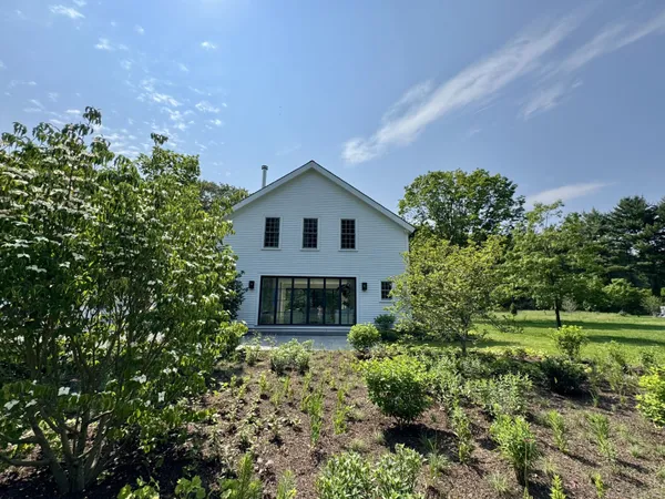 a view of a park with large trees