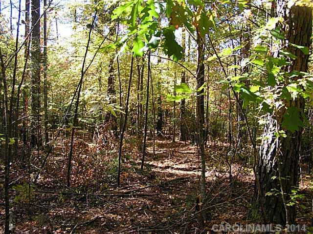 1741 State Rd S-46-1102, Unit 2A York, SC 29745 - Photo 3 of 10 Gallery Image 3