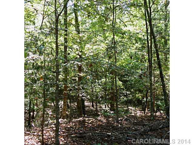 1741 State Rd S-46-1102, Unit 2A York, SC 29745 - Photo 5 of 10 Gallery Image 5