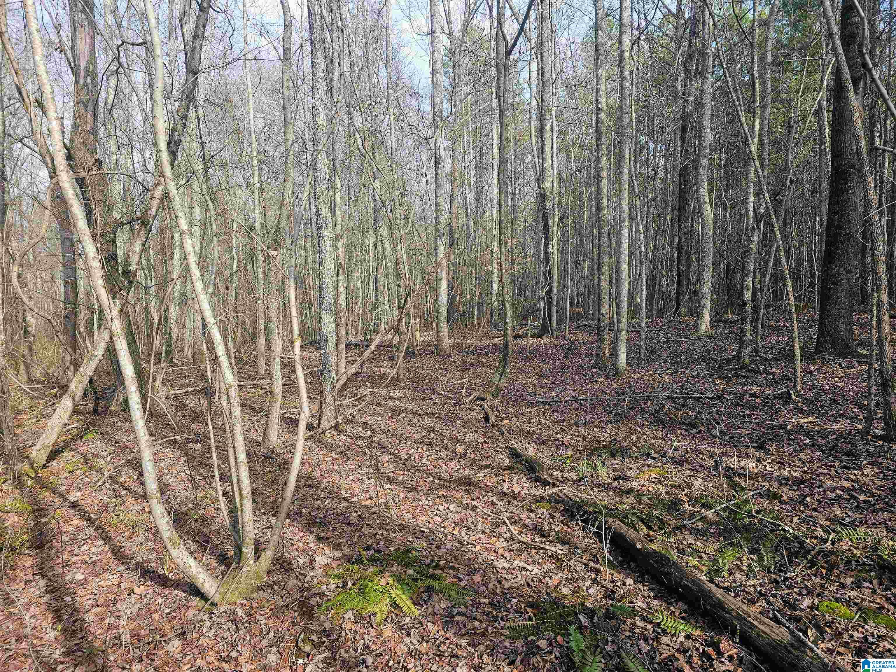 15 County Road 15, Unit 3 92 Heflin, AL 36264 - Photo 6 of 11