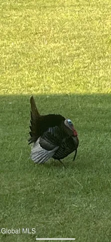 $425,750 | 81 Lohret Road, Argyle, NY 12809