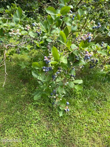 $425,750 | 81 Lohret Road, Argyle, NY 12809