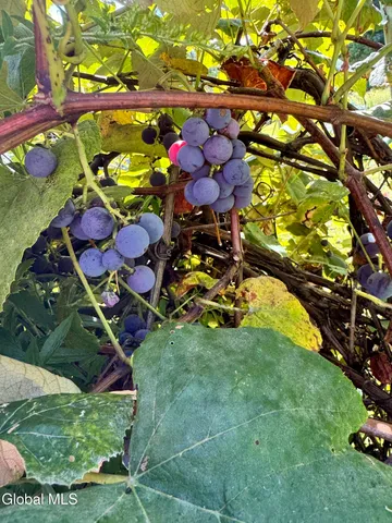 $425,750 | 81 Lohret Road, Argyle, NY 12809