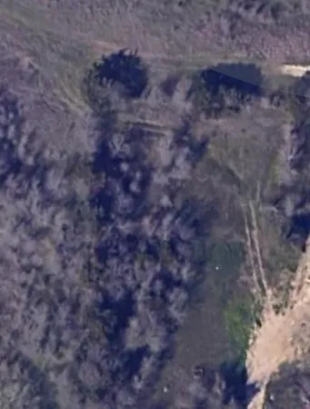 a view of a dry yard