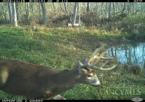 0 Us Rt 50 Bainbridge, OH 45612 - Photo 19 of 29 19