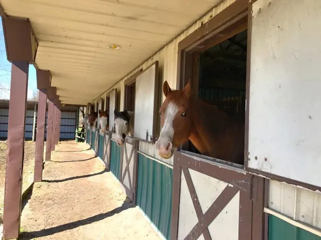 $1,249,999 | 10792 North 600 East, Demotte, IN 46310