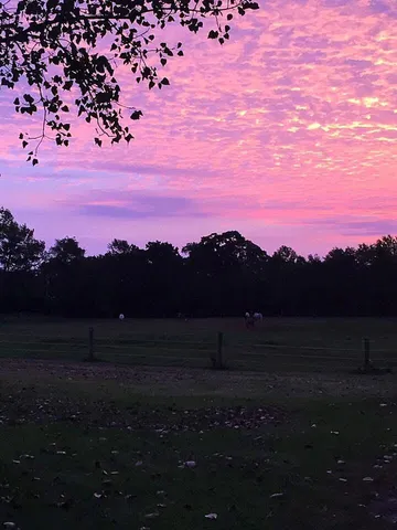 $1,249,999 | 10792 North 600 East, Demotte, IN 46310