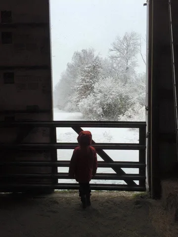 $1,249,999 | 10792 North 600 East, Demotte, IN 46310