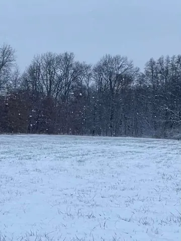 $1,249,999 | 10792 North 600 East, Demotte, IN 46310