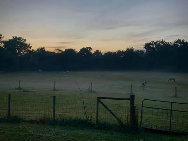 $1,249,999 | 10792 North 600 East, Demotte, IN 46310