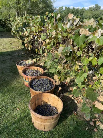 $1,249,999 | 10792 North 600 East, Demotte, IN 46310