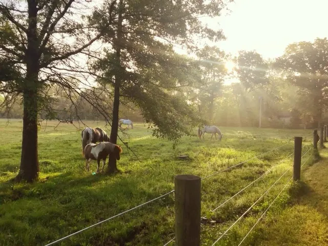 $1,249,999 | 10792 North 600 East, Demotte, IN 46310