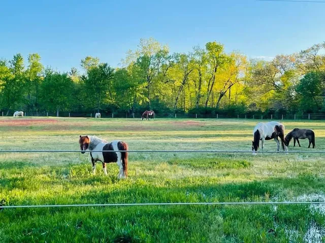 $1,249,999 | 10792 North 600 East, Demotte, IN 46310