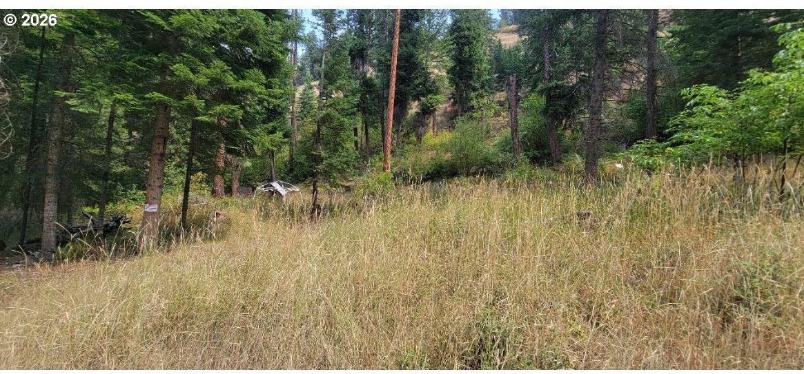 River Canyon Road, Unit TL 900 Imnaha, OR 97842 - Photo 11 of 27 Gallery Image 11