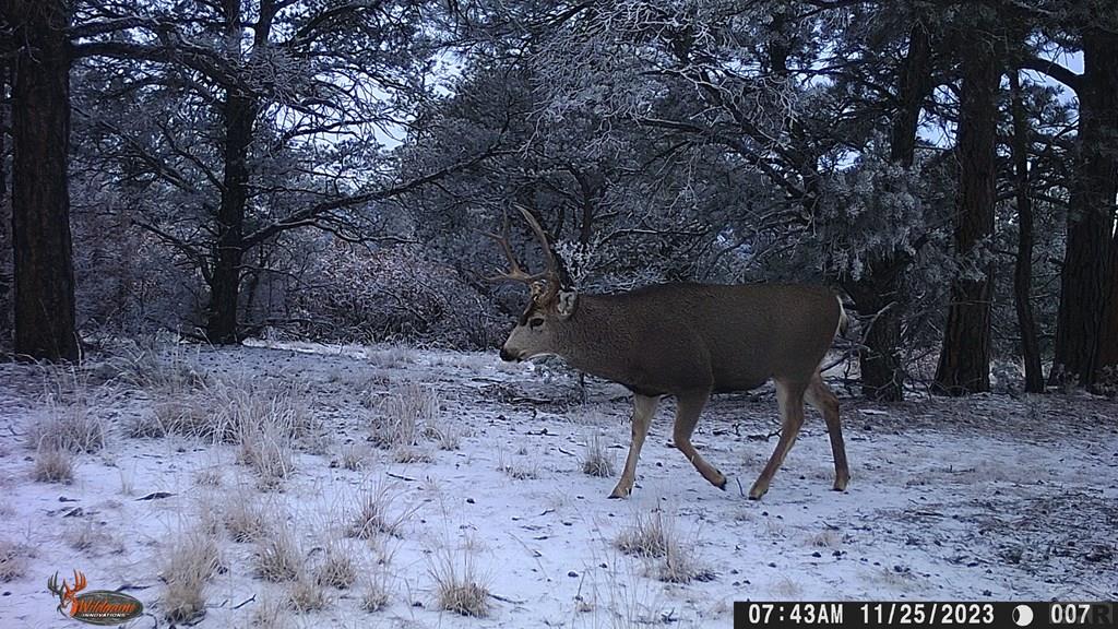 0 Co Road Trinidad, CO 81082 - Photo 40 of 64 Gallery Image 40