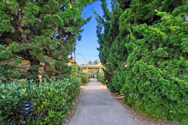 a view of a pathway both side of yard