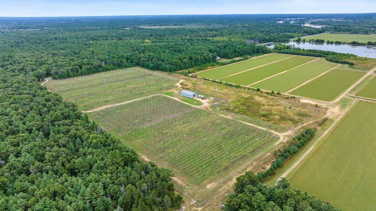 N4085 Cranberry Road Warrens, WI 54666 - Photo 5 of 21 05-142876435