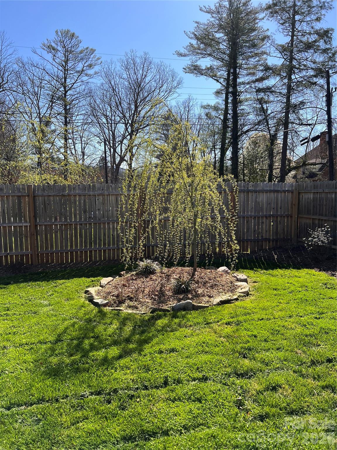 29 White Oak Road Arden, NC 28704 - Photo 32 of 42 a small garden covered with tall trees