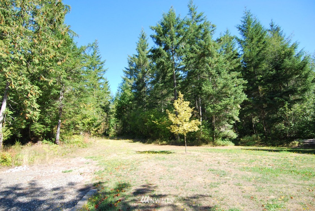 13379 West Cloquallum Road Elma, WA 98541 - Photo 17 of 19 Gallery Image 17