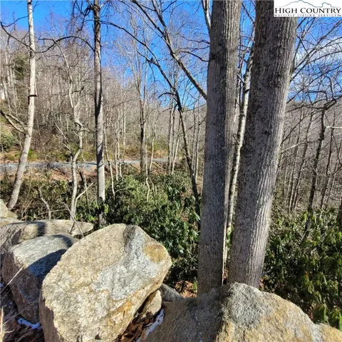 a view of a backyard with pathway