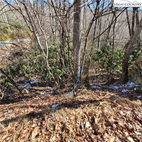 $55,000 | 253 Poplar Drive, Beech Mountain, NC 28604