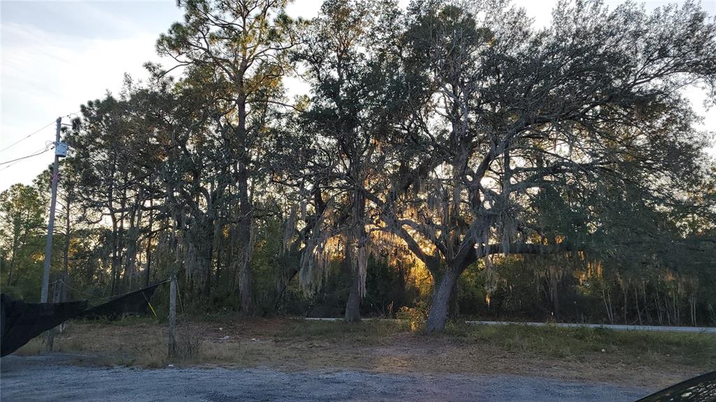 213 Clifton Road Crescent City, FL 32112 - Photo 39 of 52 Gallery Image 39