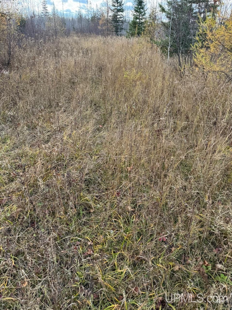 27.5 Rd 28 Acres Trail Gladstone, MI 49837 - Photo 18 of 24