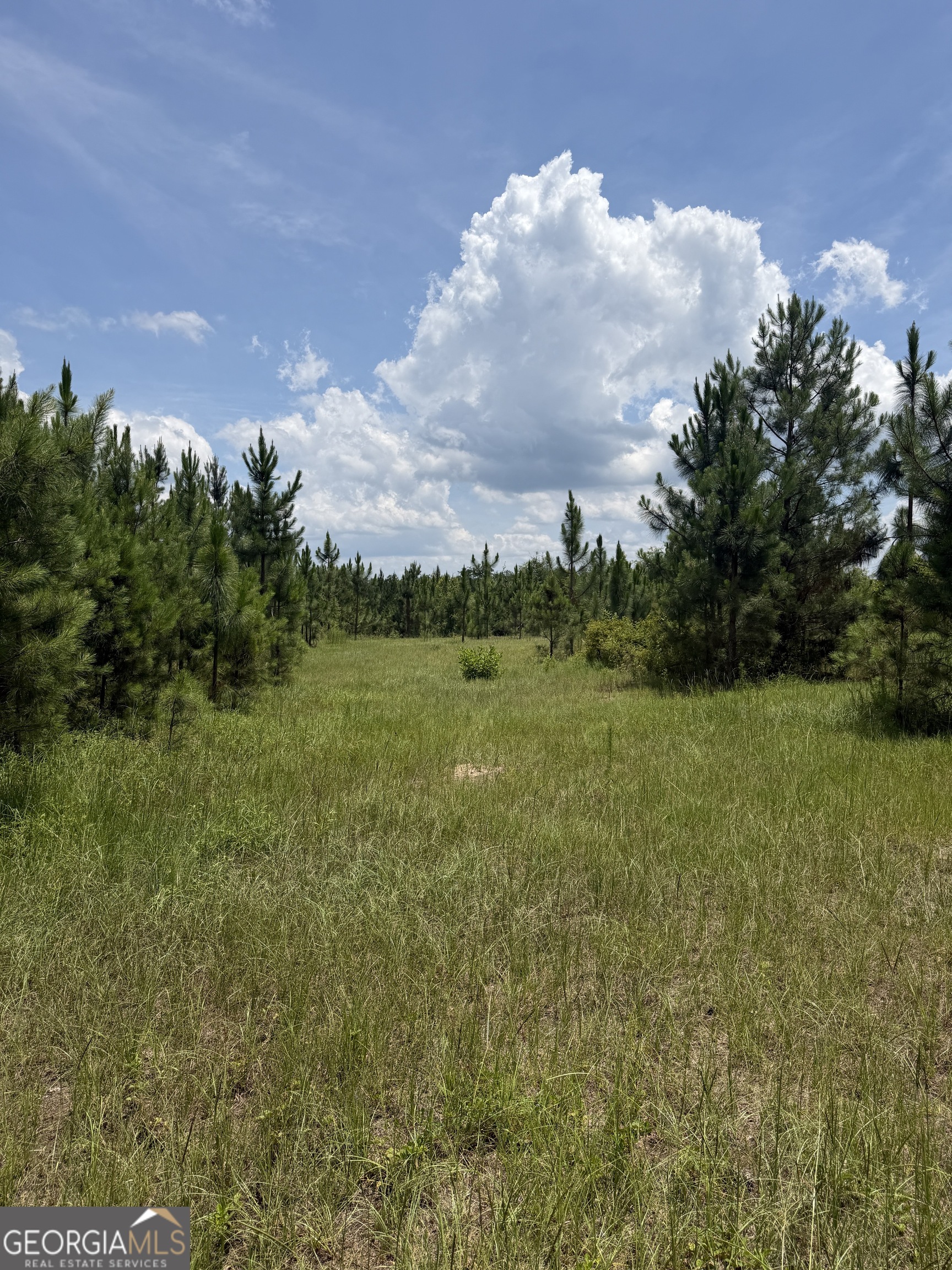 0 West River Road Rhine, GA 31077 - Photo 10 of 31