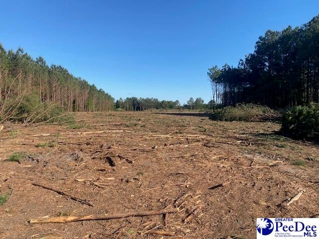 Tbd Newberry Road Lamar, SC 29069 - Photo 9 of 15 Gallery Image 9
