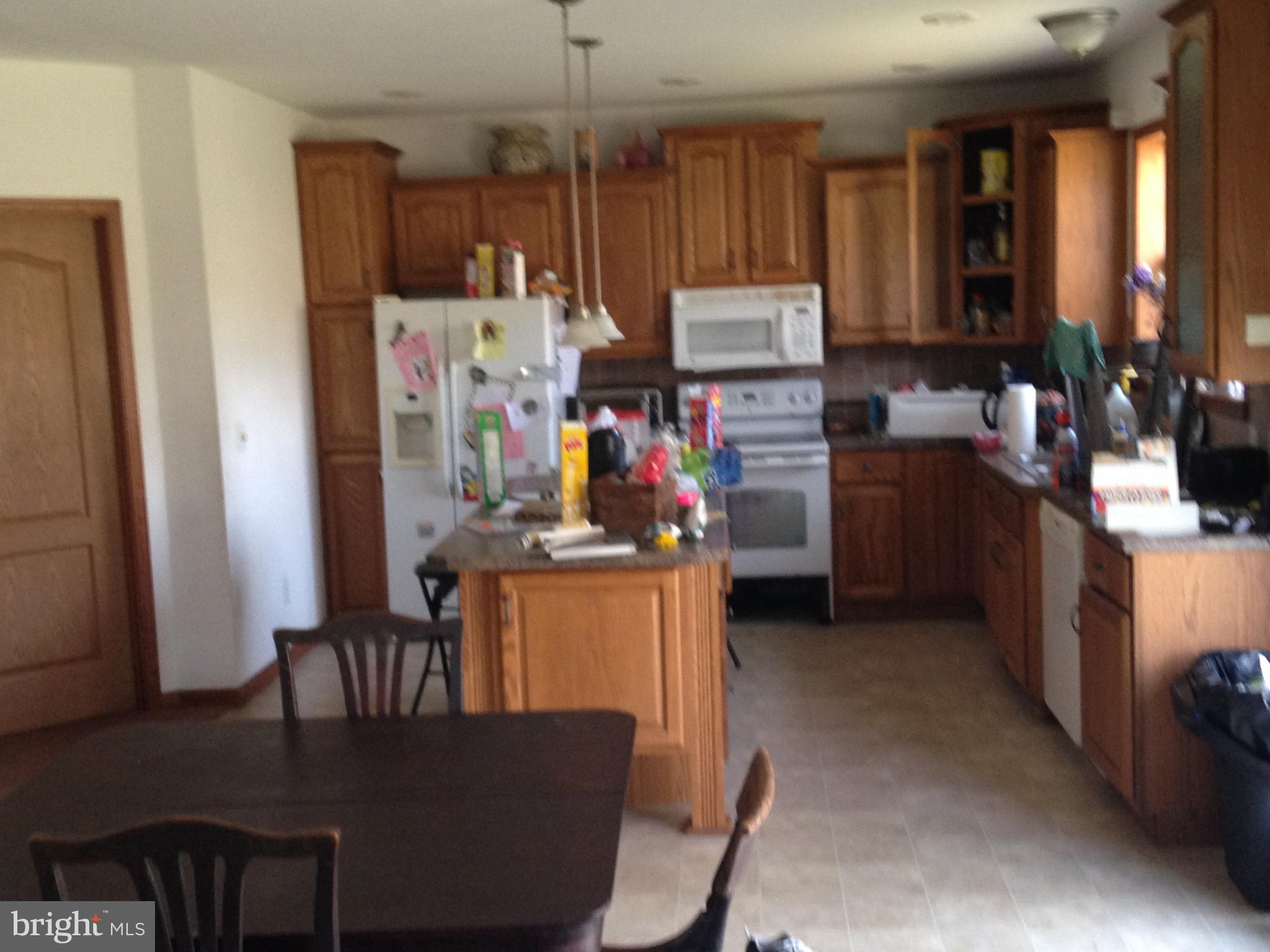 4800 Hydes Road Baldwin, MD 21013 - Photo 11 of 11 Kitchen