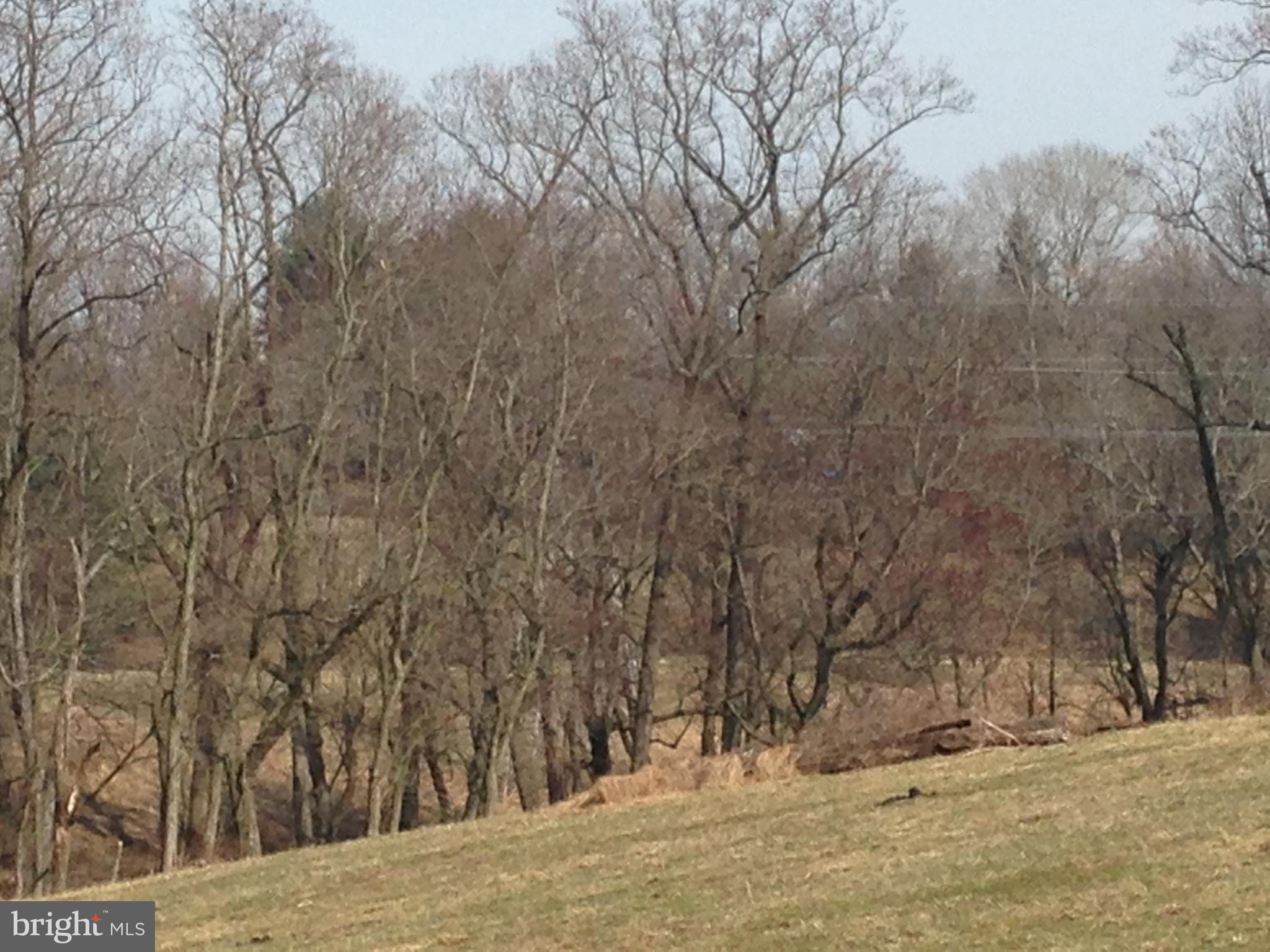 4800 Hydes Road Baldwin, MD 21013 - Photo 8 of 11 View