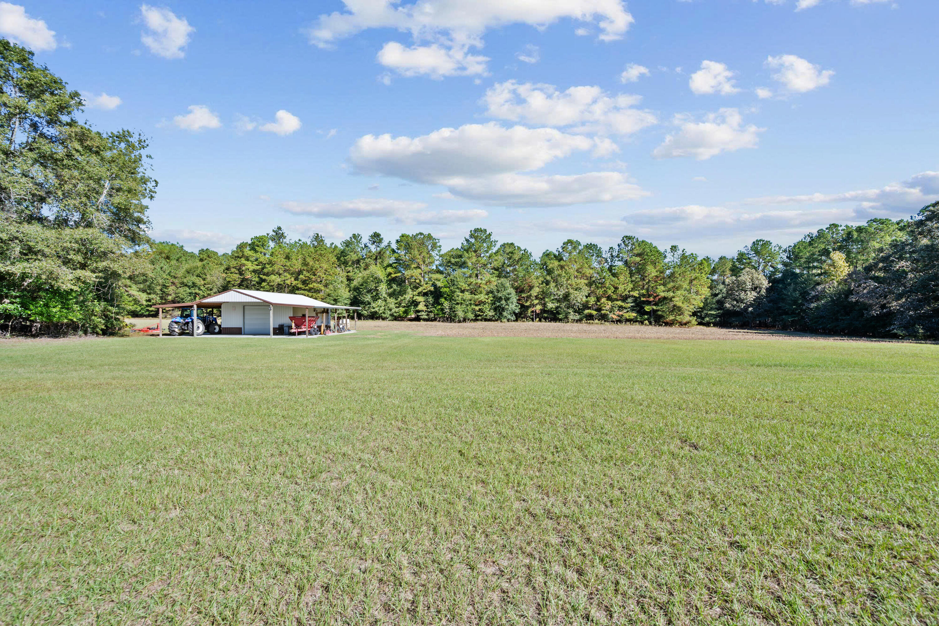 7901 State Rd S-6-169 Blackville, SC 29817 - Photo 63 of 89