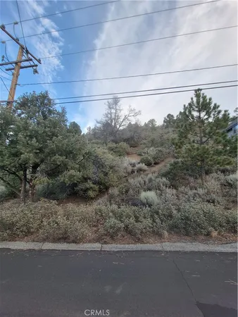 a view of a forest with a forest