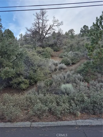 $13,499 | 2016 Woodland Drive, Pine Mountain Club, CA 93222