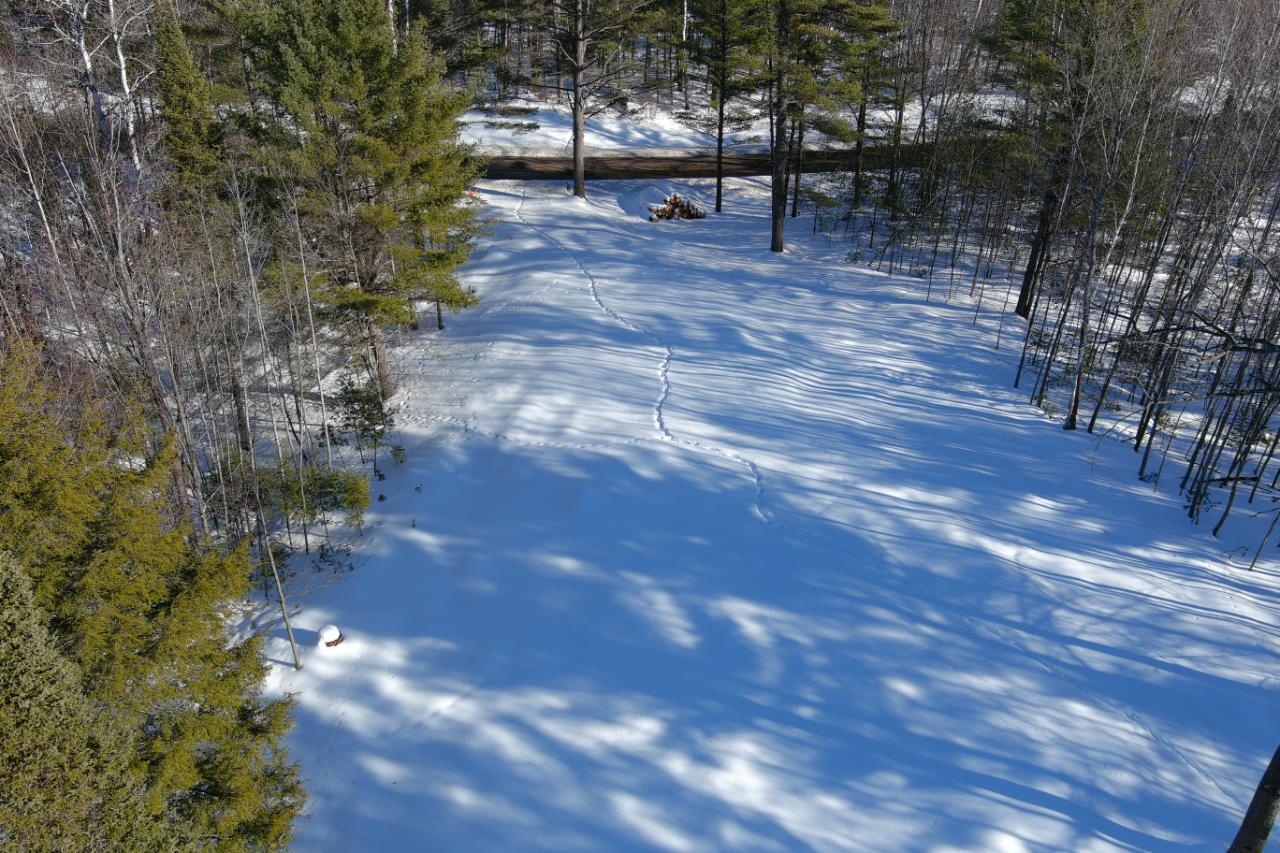 6831 Pine Shadow Lane Rhinelander, WI 54501 - Photo 3 of 6 Gallery Image 3