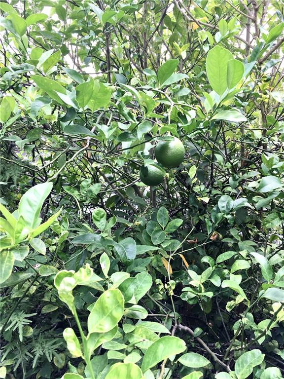 407 State Street New Orleans, LA 70118 - Photo 19 of 21