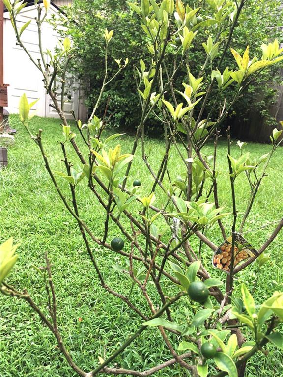 407 State Street New Orleans, LA 70118 - Photo 20 of 21