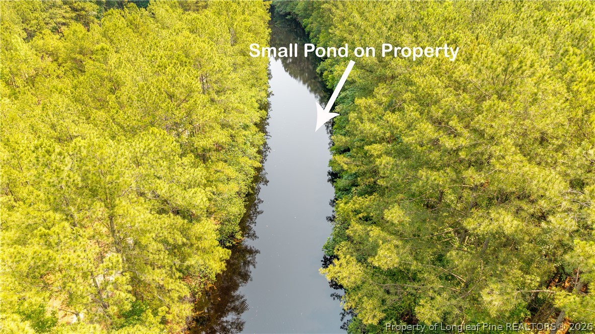 Big Piney Grove Road Clinton, NC 28328 - Photo 4 of 7 a view of a lake with a tree