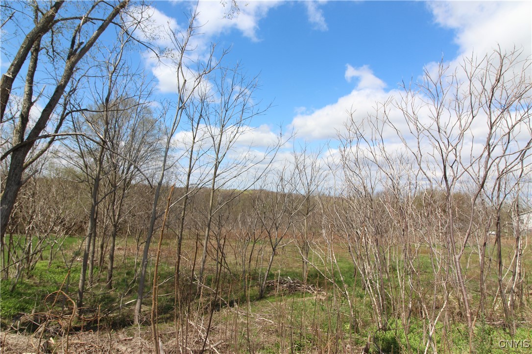 River Road Jordan, NY 13080 - Photo 3 of 8