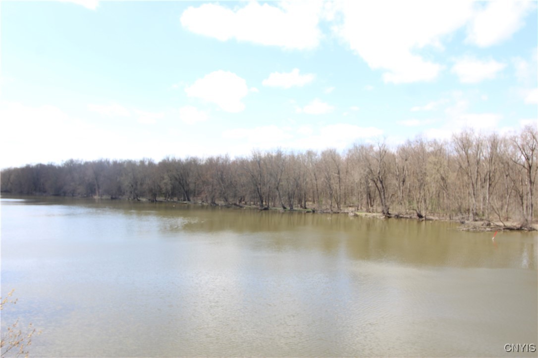 River Road Jordan, NY 13080 - Photo 6 of 8