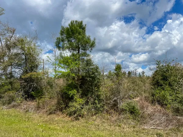 $198,850 | 1 Fm 2827, Warren, TX 77664