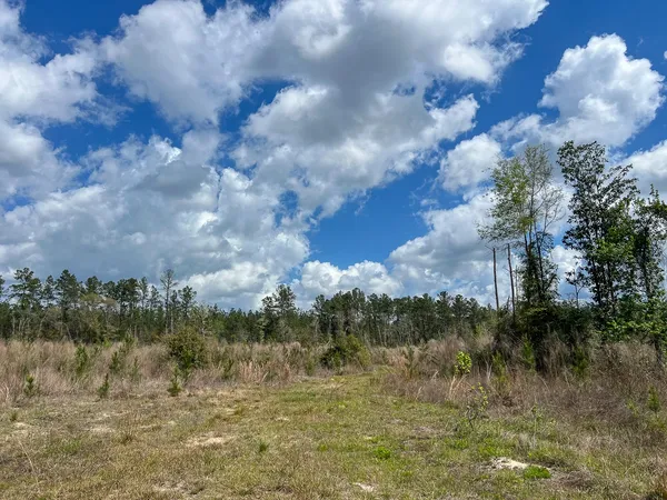 $198,850 | 1 Fm 2827, Warren, TX 77664